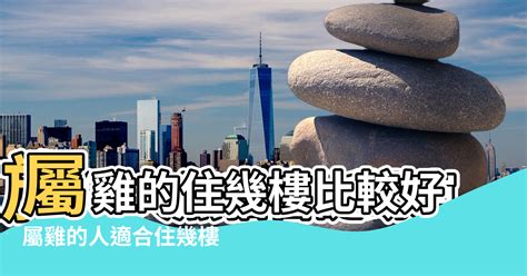 屬狗樓層|【82年屬狗風水樓層】82年屬狗買房子方位注意規避一些不吉方。